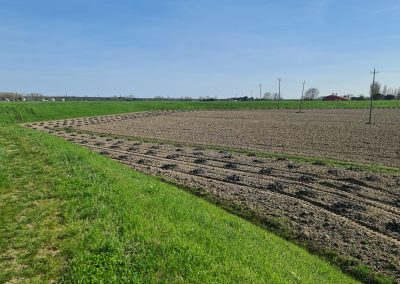 Bonifica Bellica Profonda - Natale Uxo