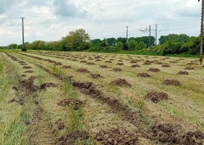 Bonifica Bellica Profonda