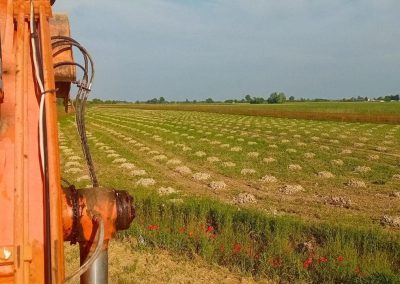 Bonifica Bellica Profonda