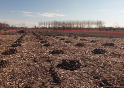 Bonifica bellica profonda mediante trivellazioni spinte fino 5 metri con Garanzia