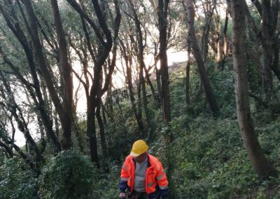 Bonifica Bellica Superficiale