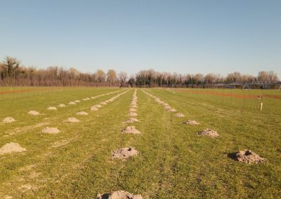 Bonifica profonda mediante trivellazioni spinte fino a 7 metri con Garanzia