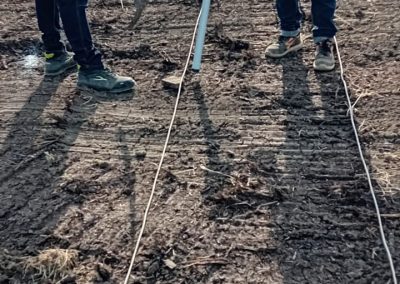 Bonifica Superficiale