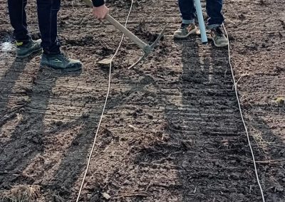 Bonifica Superficiale