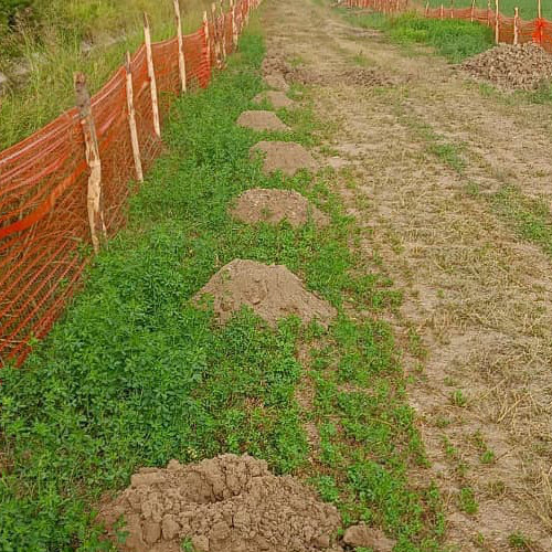 Recinzioni Di Cantiere