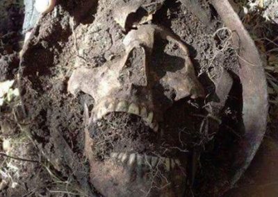 Ritrovamento bonifica bellica