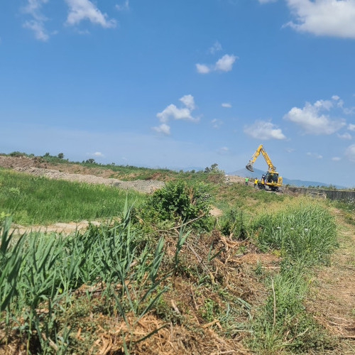 Taglio Erbaceo Natale Uxo